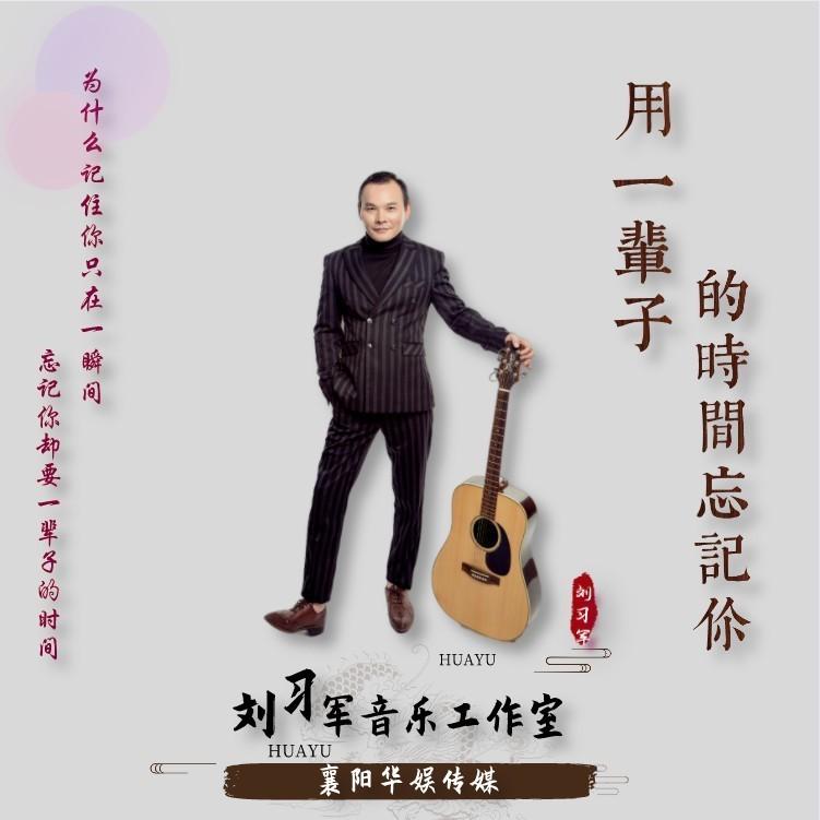 用一辈子时间忘记你封面