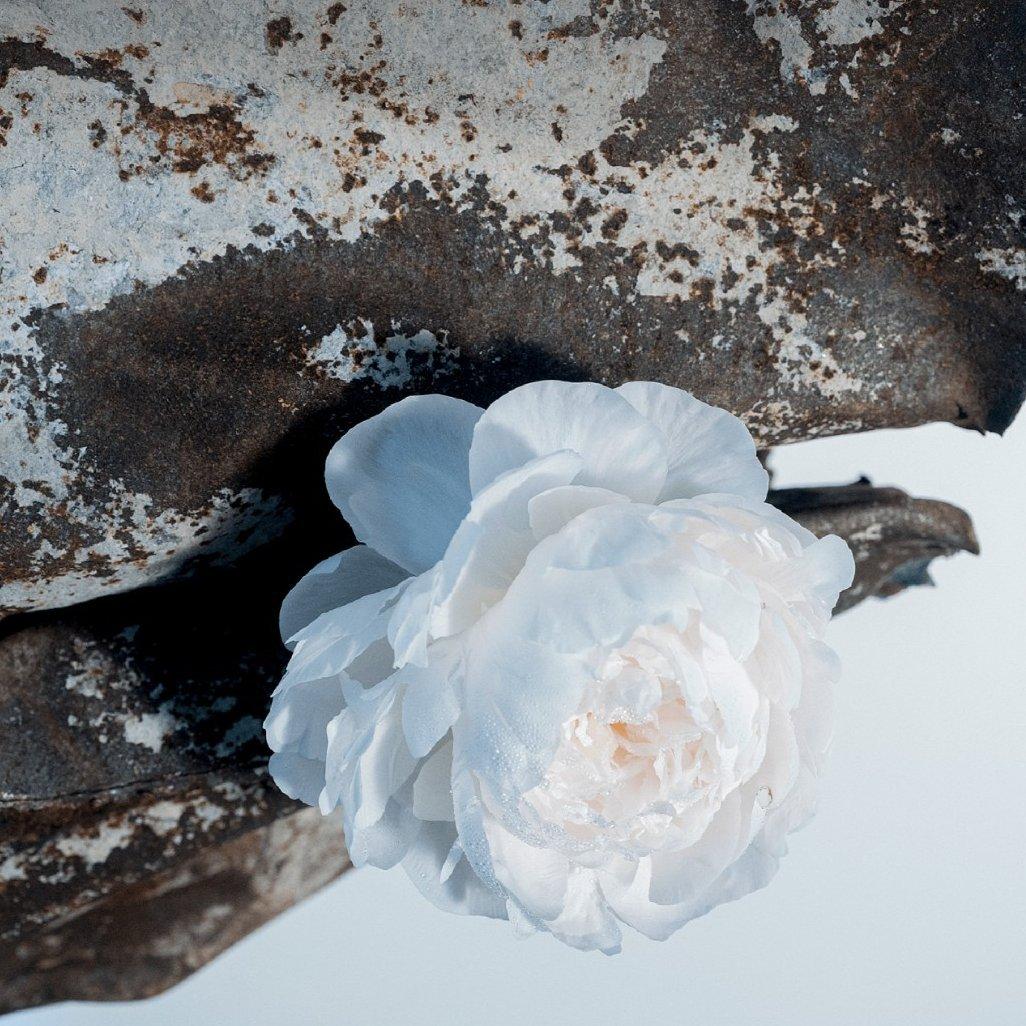 巴赫·Preludio No. 1 en Do Mayor, BWV 846