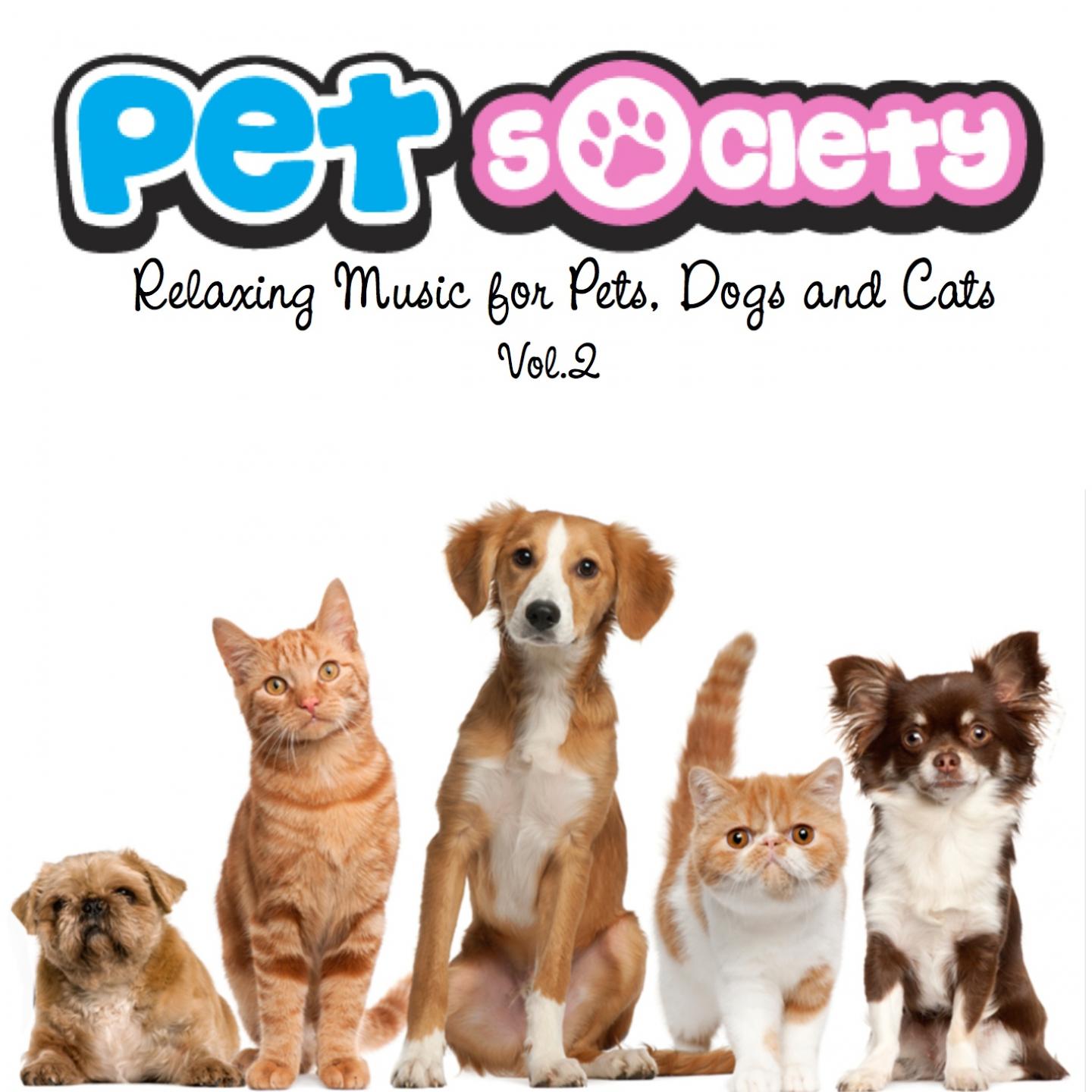 # Discover the Allure of Pet Pet Club: Your Ultimate Destination for Pet Lovers