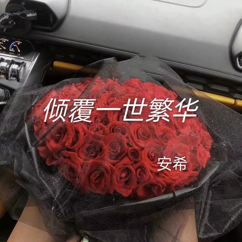 相思风雨中(DJ版)封面