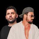 Dimitri Vegas & Like Mike