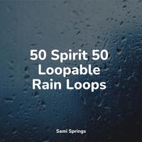 50 Spirit 50 Loopable Rain Loops