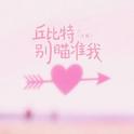 丘比特别瞄准我专辑