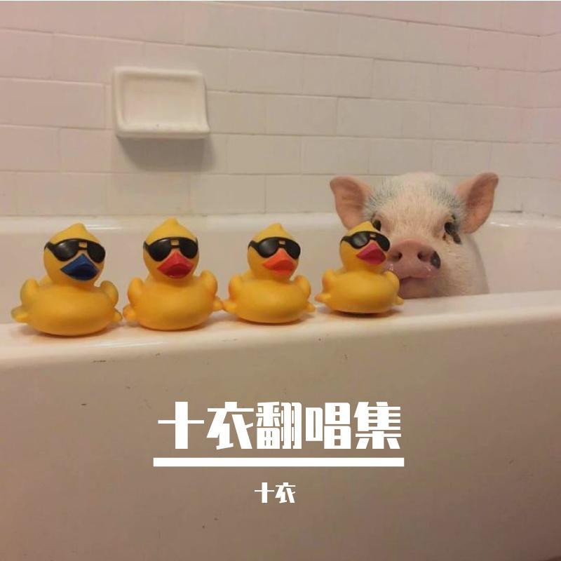 晚婚 翻自谭维维live版封面