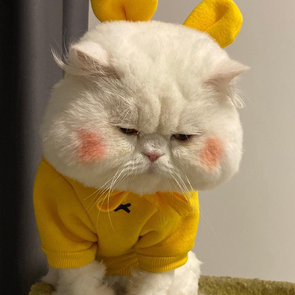 你是七月的欢喜