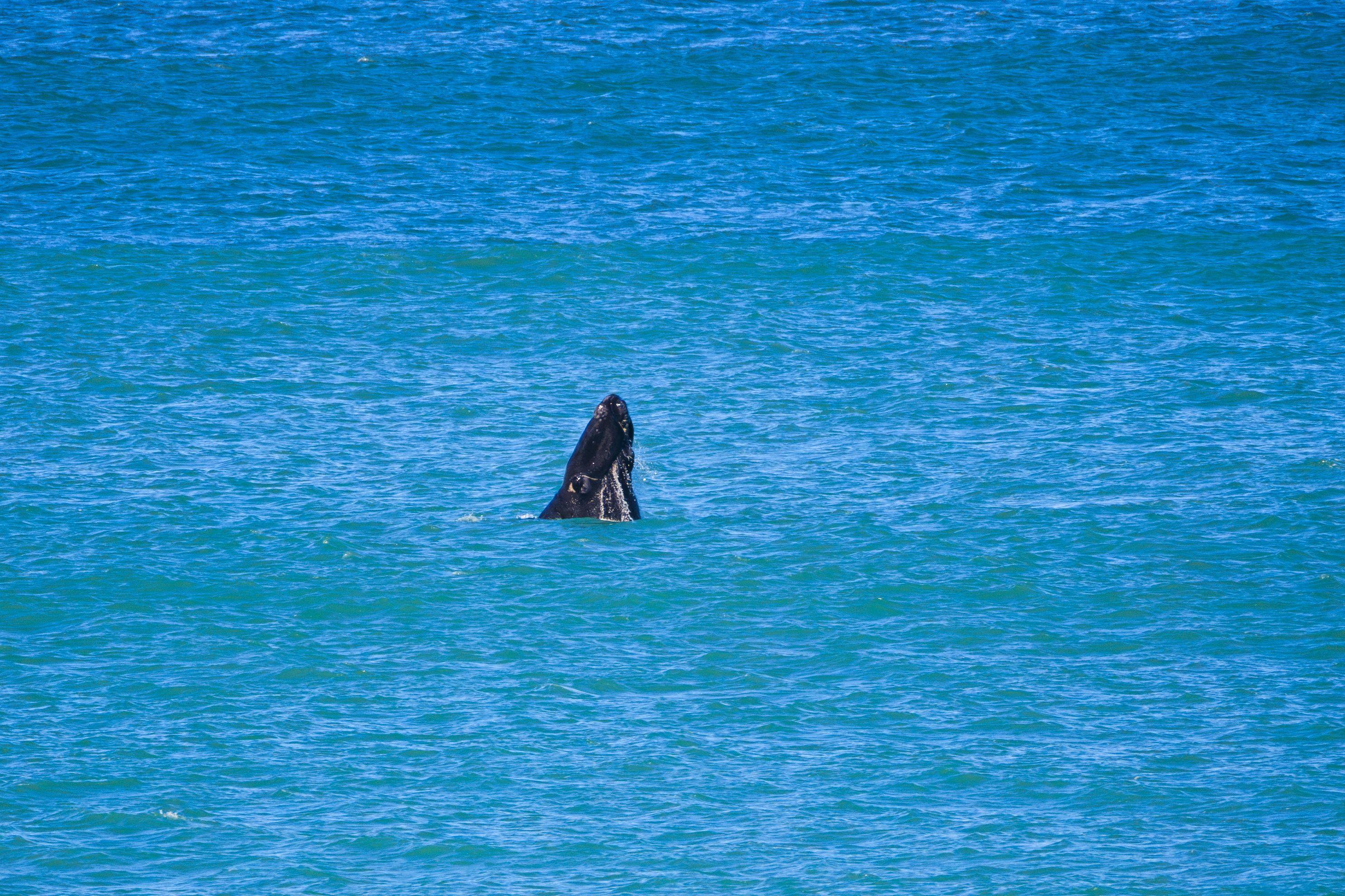 vol.758 三重奏不是梦，当阳光洒在有你的海面上