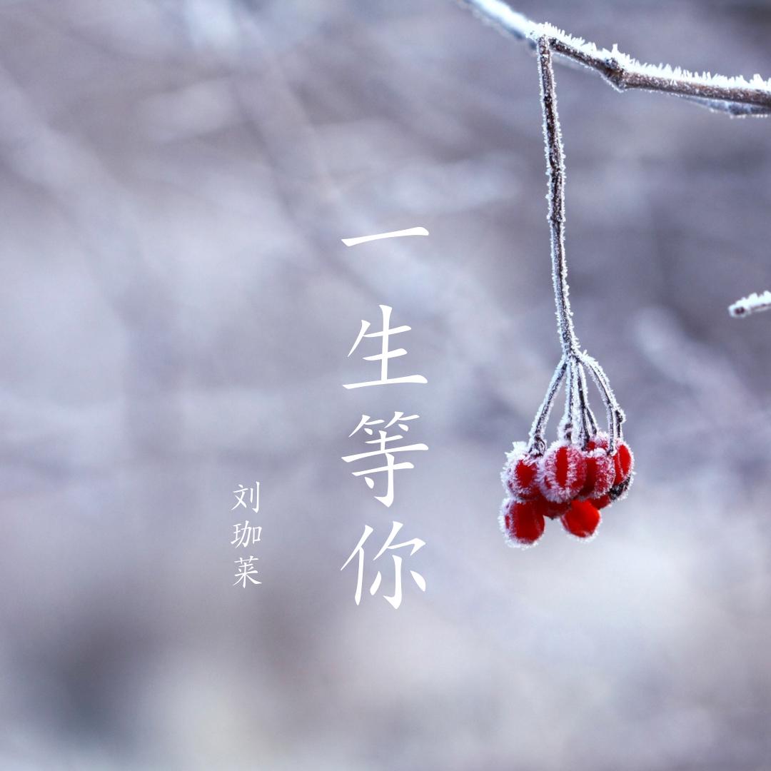 一生等你封面