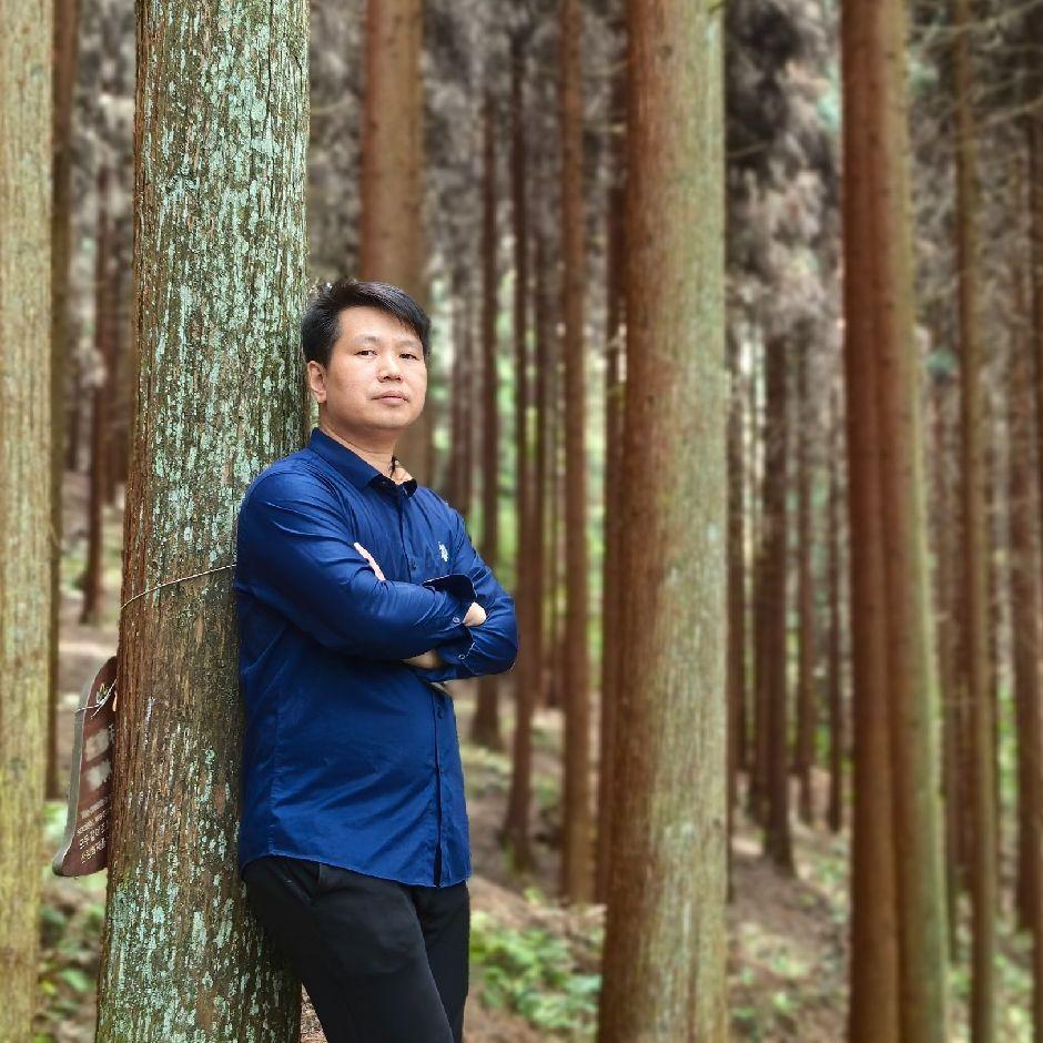 相见不如怀念 伴奏封面