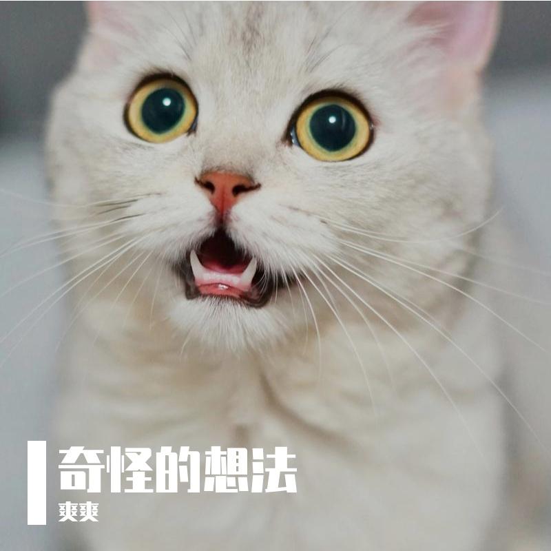 偷偷摸摸的小猫咪封面