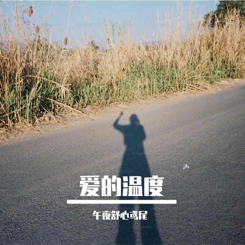 月光舞会封面