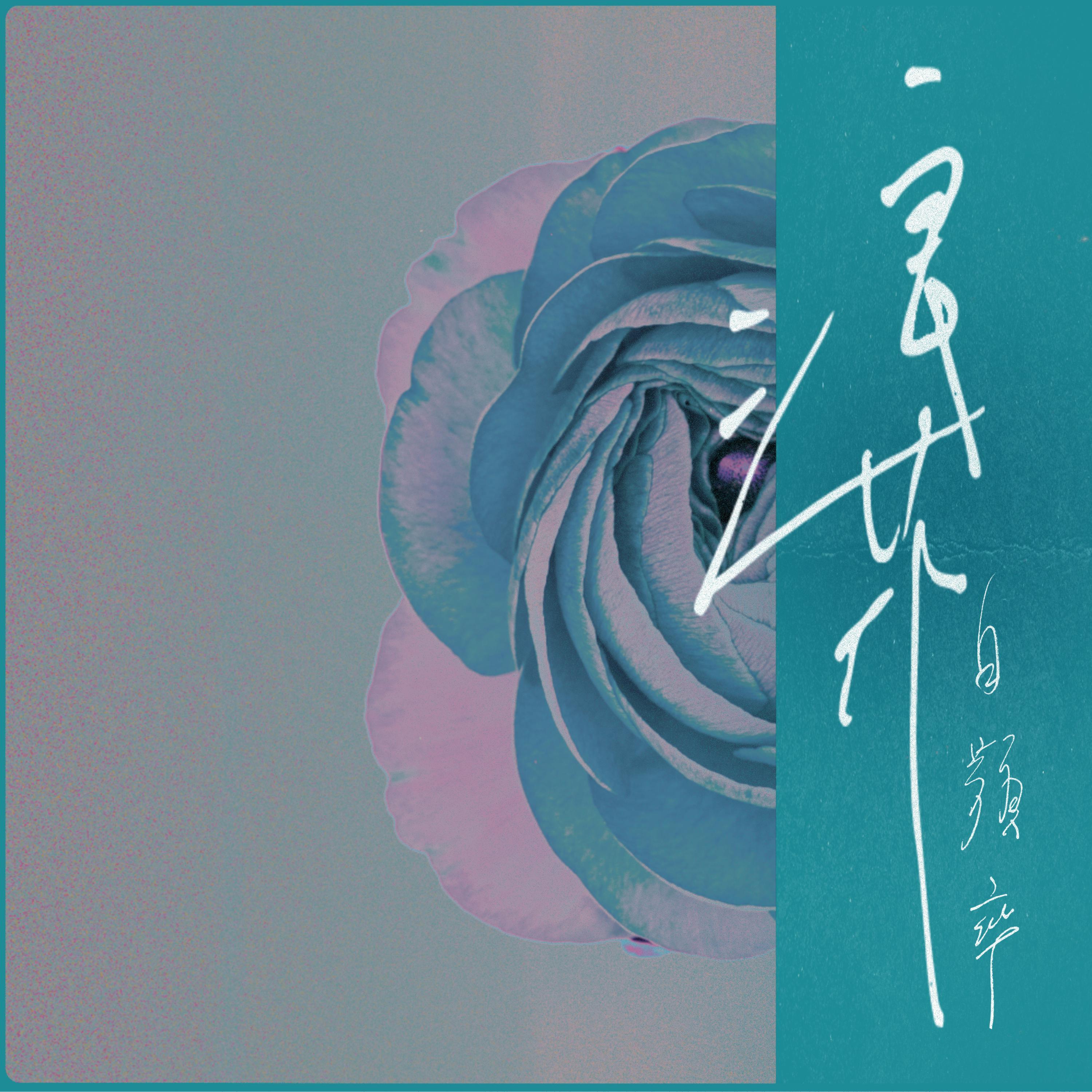 浪花封面