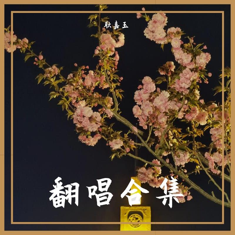 她是黯淡星封面