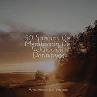 50 Sonidos De Meditación De Relajación Definitivos