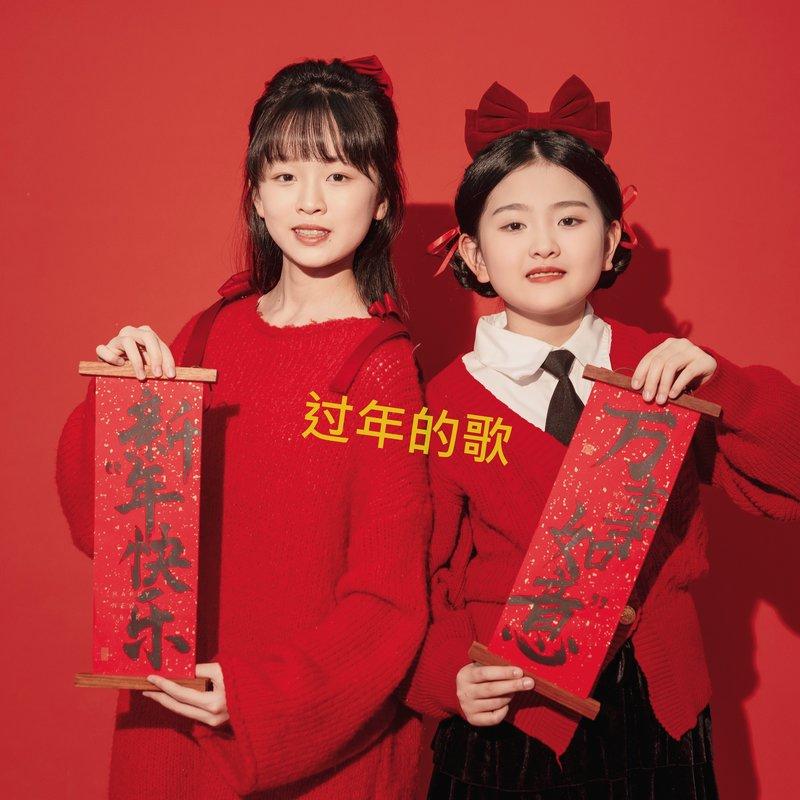过年的歌 (DJ版)封面