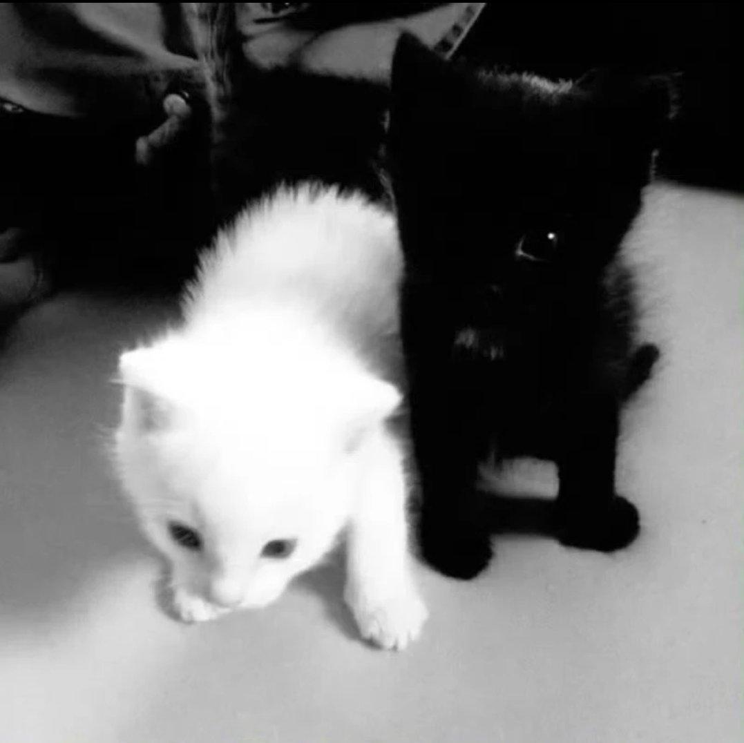 R&B 30%, Pop 40%, 剩下是酒精