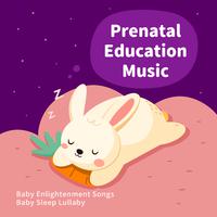 胎教音乐 宝宝启蒙名曲 婴儿哄睡摇篮曲