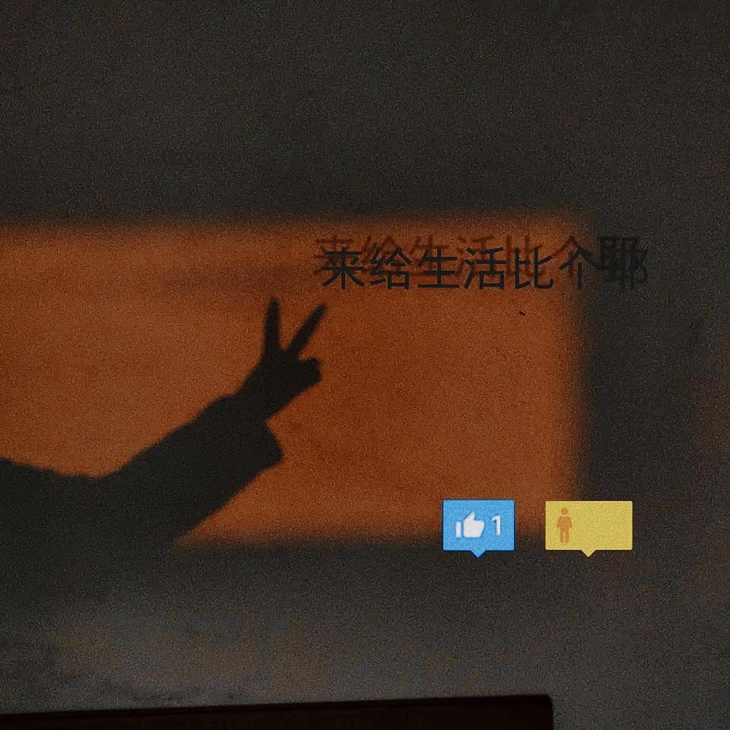 未妨惆怅是清狂