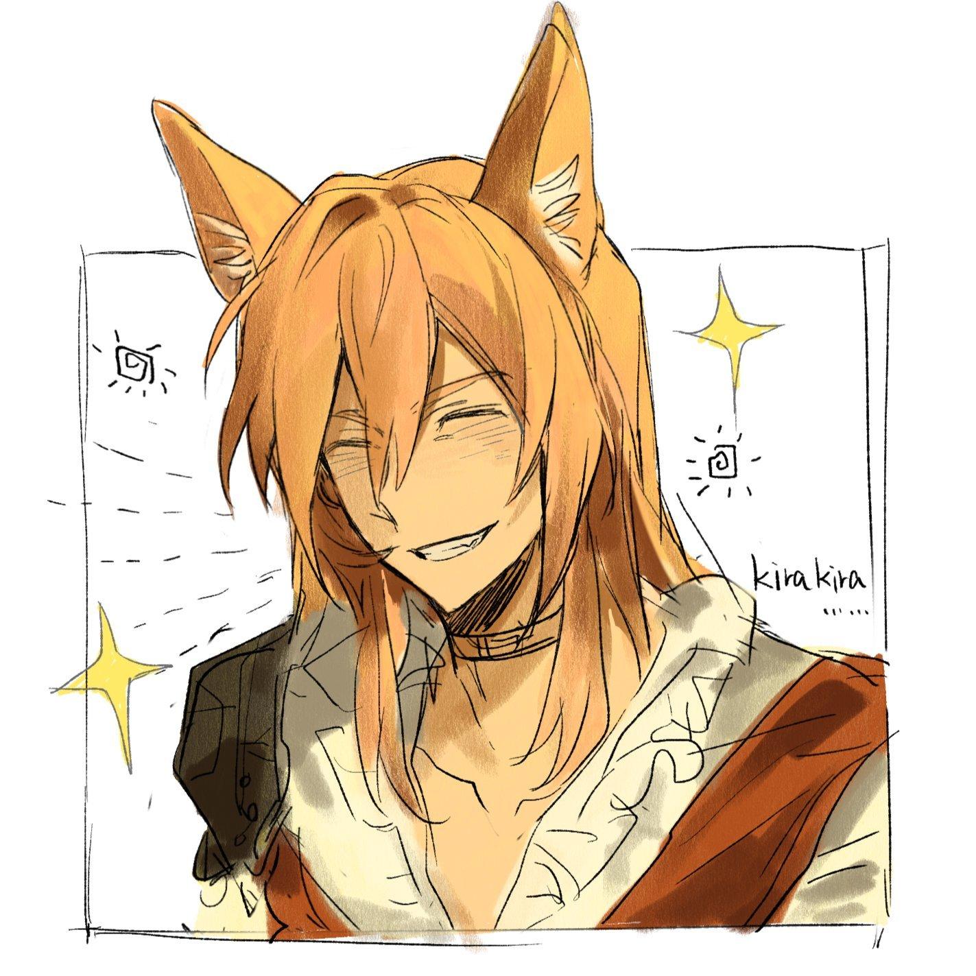 猫买回来一直响怎么办