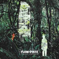 Flow State