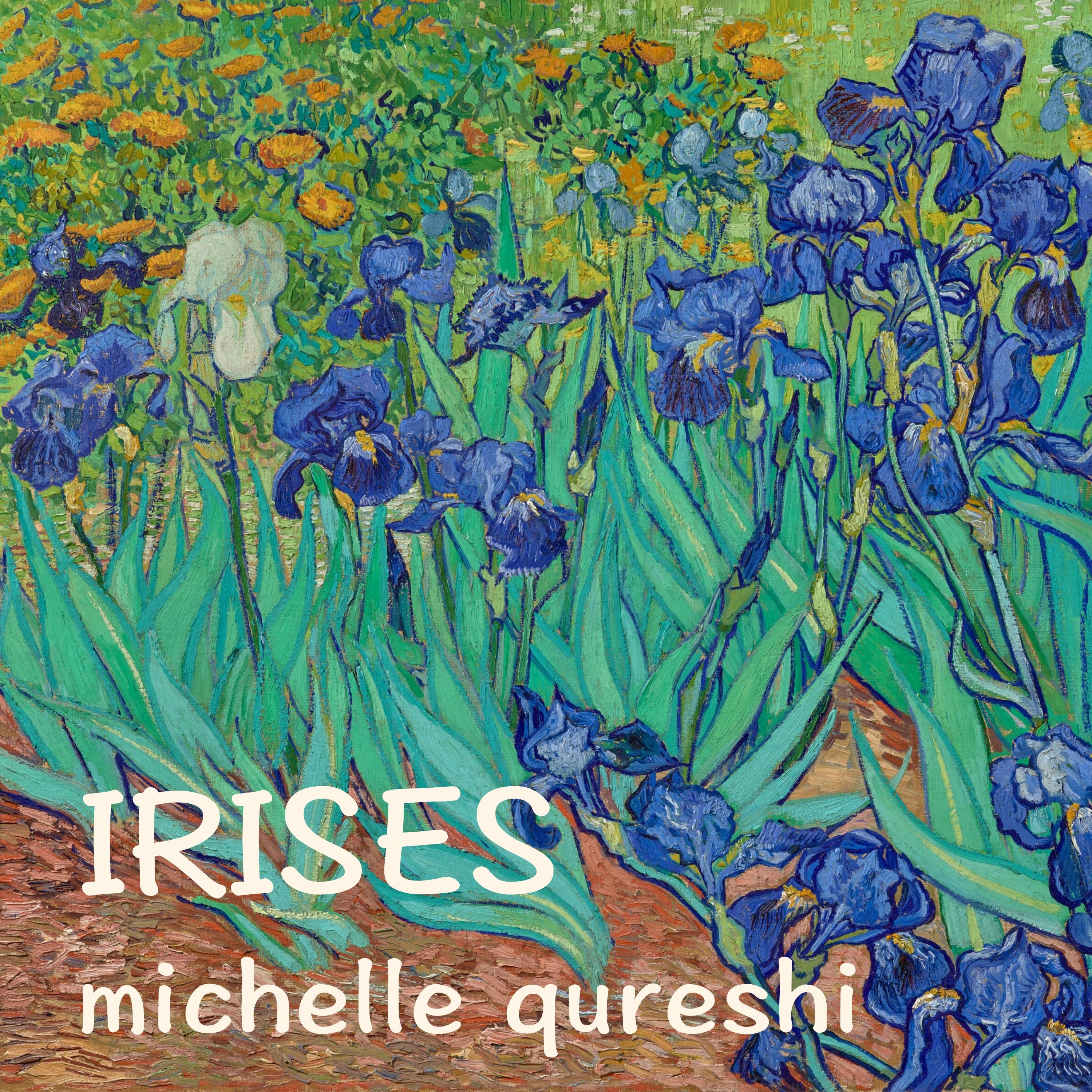 Irises - Michelle Qureshi封面