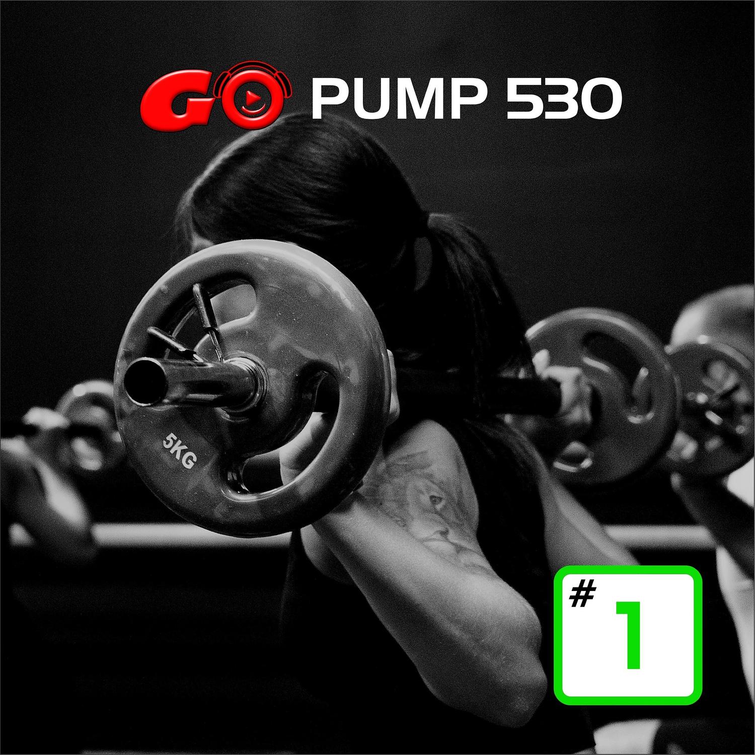 Go Pump 530 #1