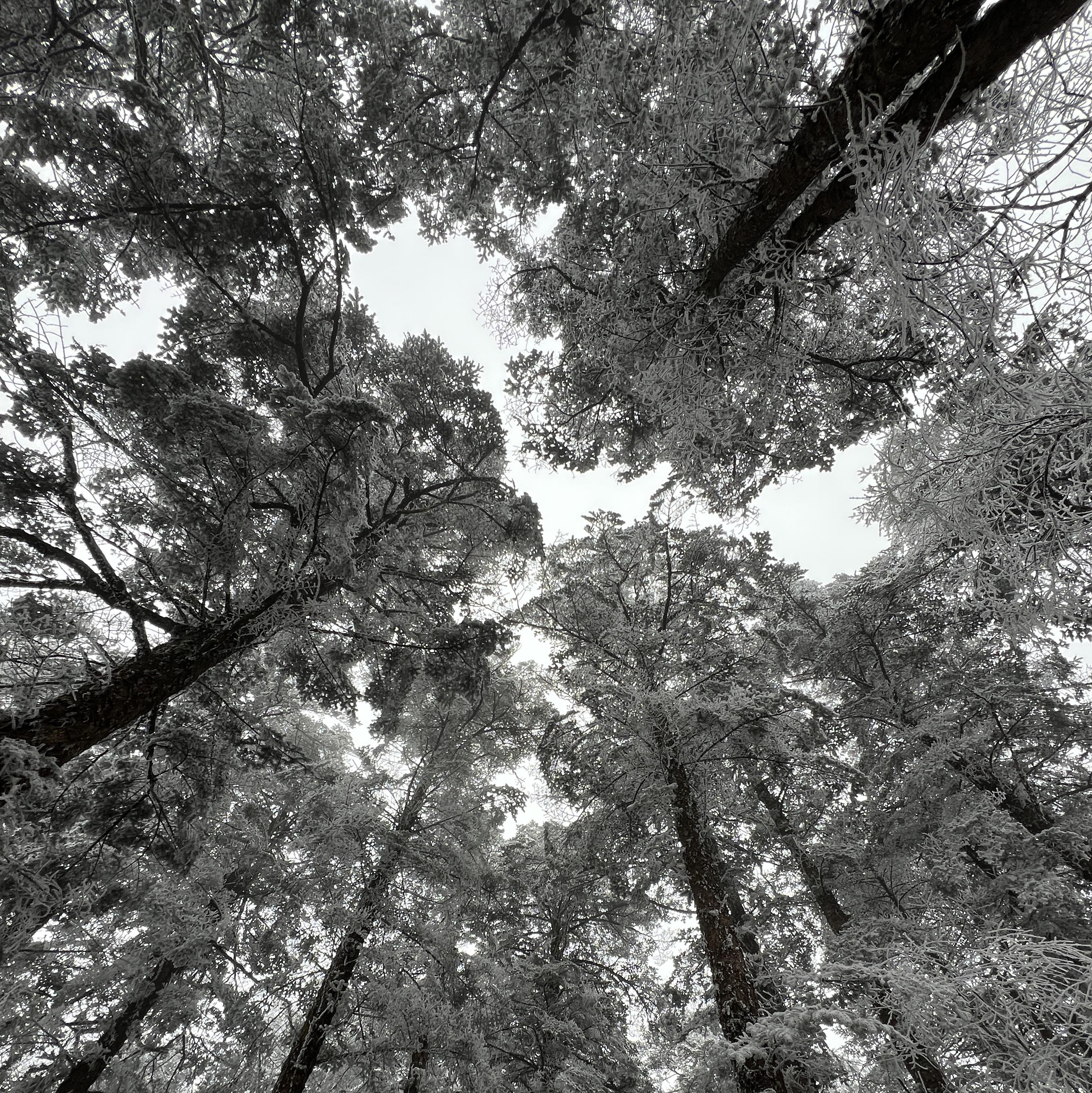 恁咋不早说 咱俩某以后