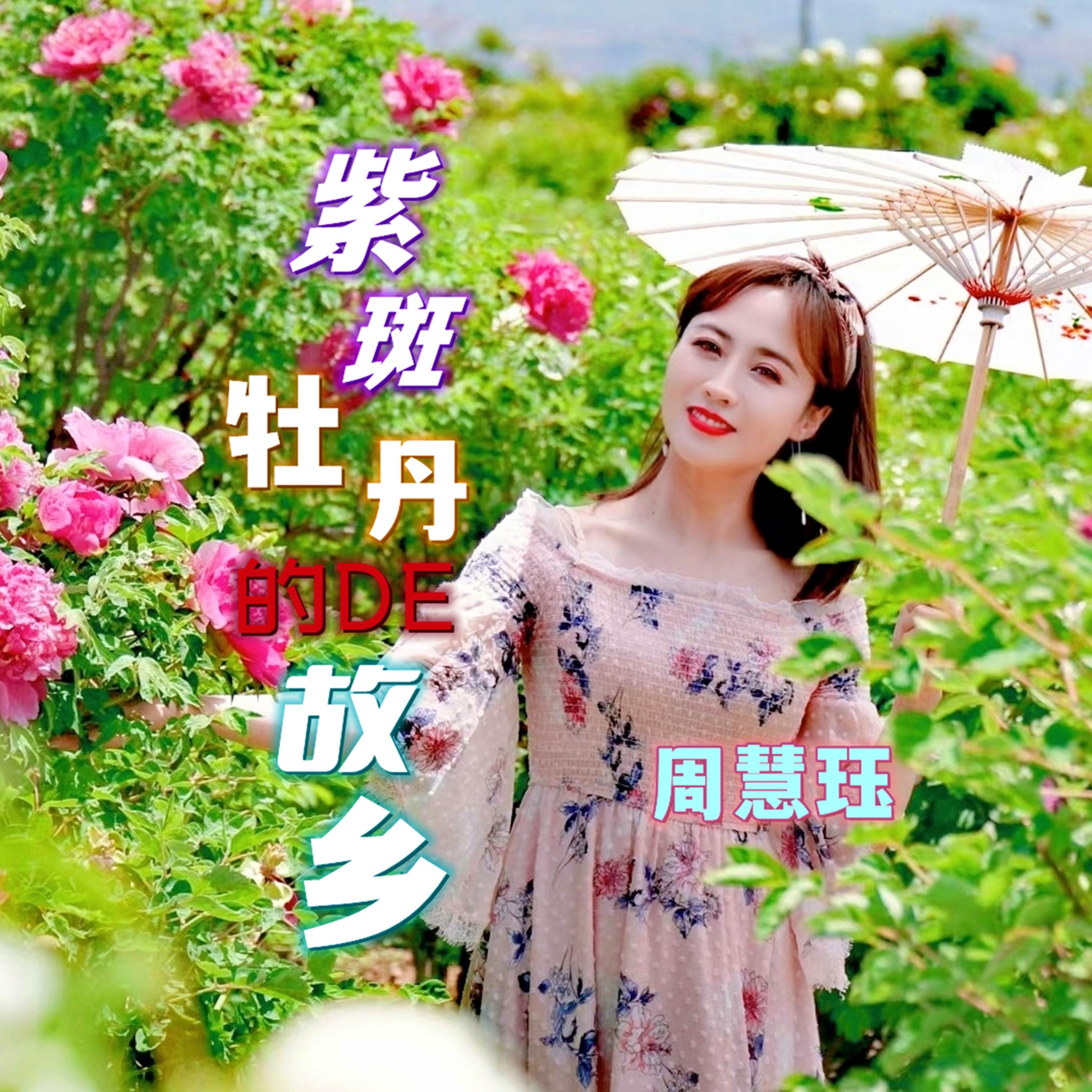 紫斑牡丹的故乡（伴奏） (伴奏)封面
