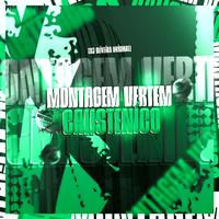 Montagem Vertem Calisteníco