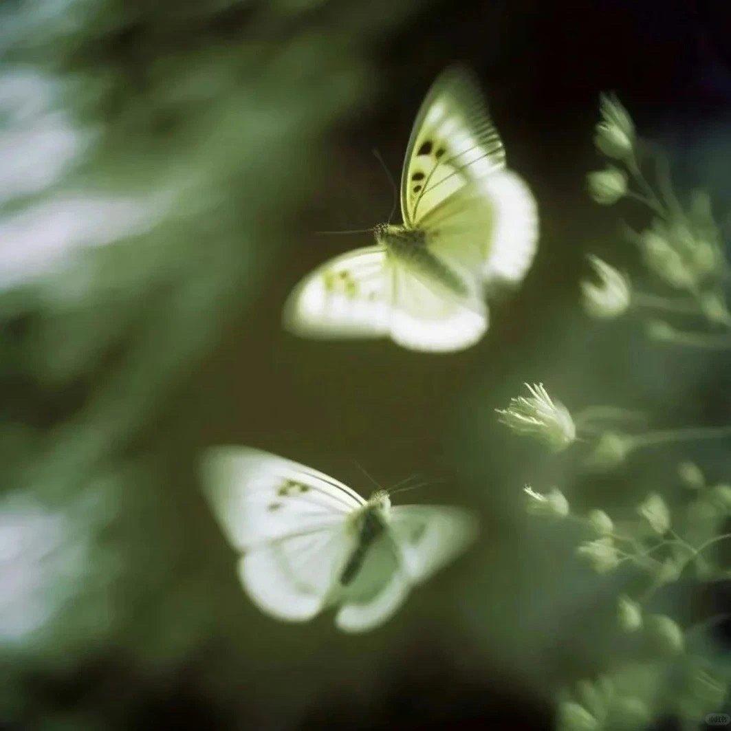 放下浮躁的心，享受简单的静（散步 放松）