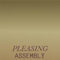 Pleasing Assembly