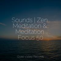 Sounds | Zen Meditation & Meditation Focus 50 For Dogs