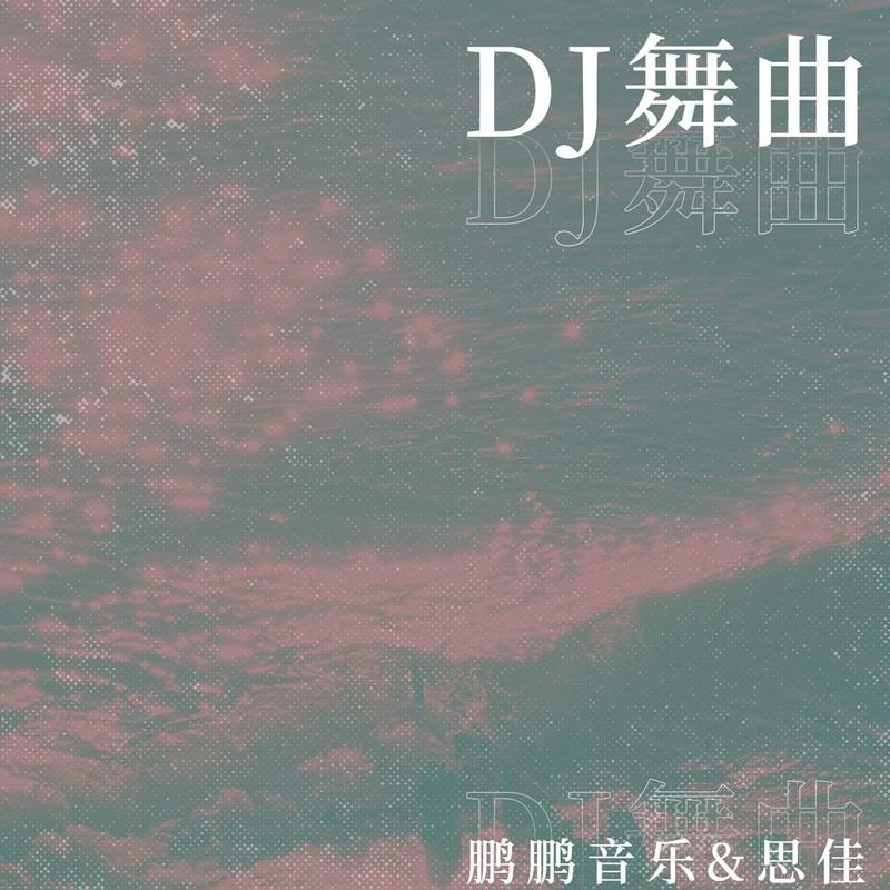 爱难求情难断 (DJ九零版)封面