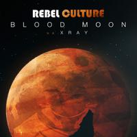 Rebel Culture资料,Rebel Culture最新歌曲,Rebel CultureMV视频,Rebel Culture音乐专辑,Rebel Culture好听的歌