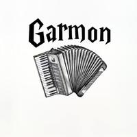 Garmon（手风琴）