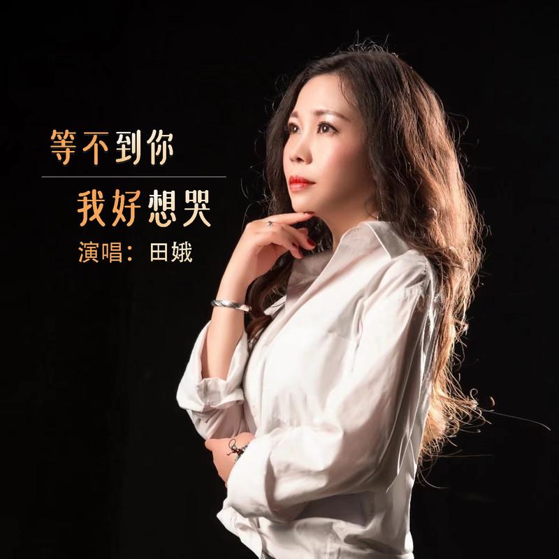 等不到你我好想哭 (Live合唱版) - 田娥封面