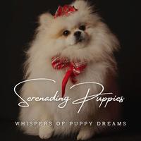 Piano Paws and Playfulness: Serenading Puppies