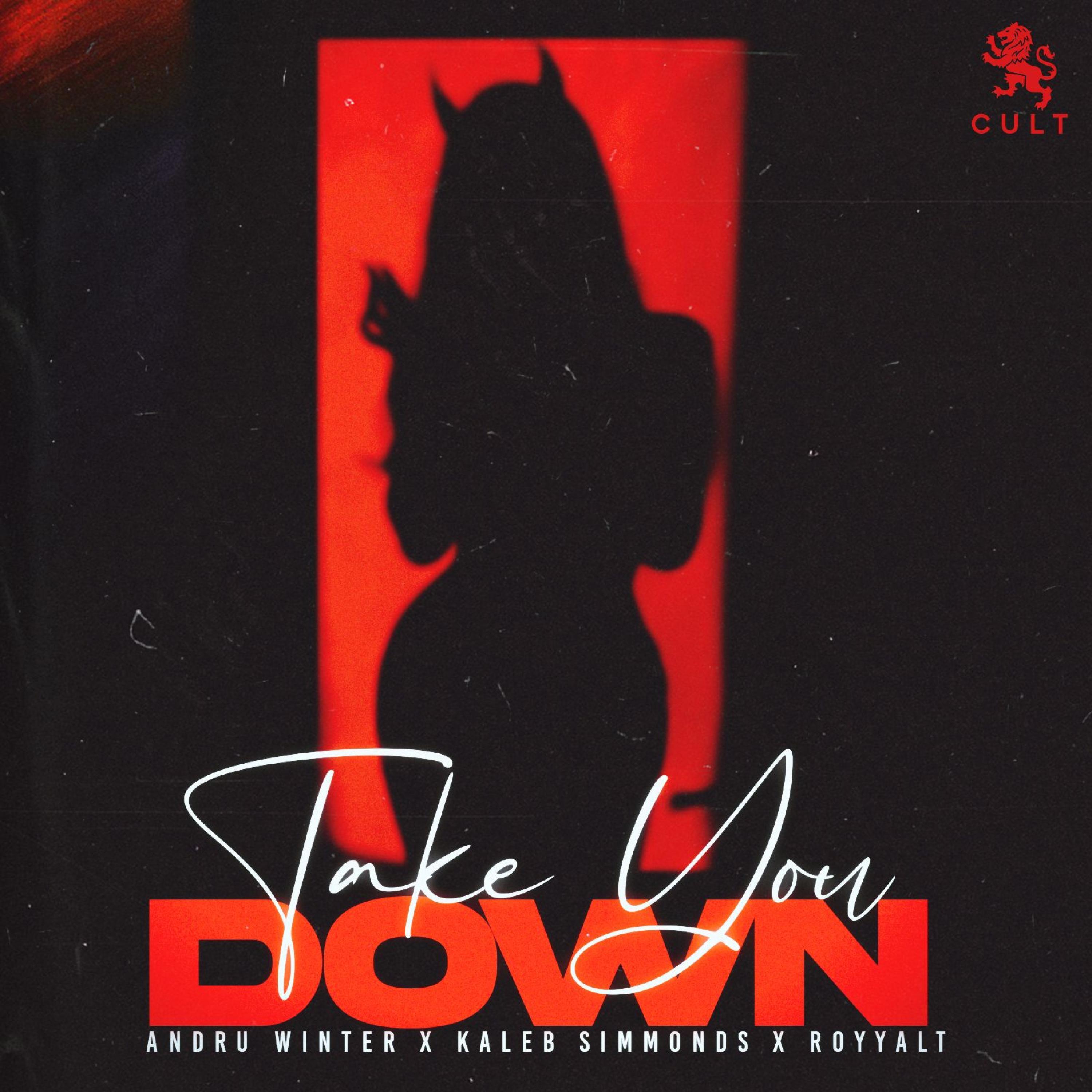 Take You Down (feat. RoyyalT)