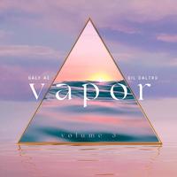 Vapor, Vol. 3