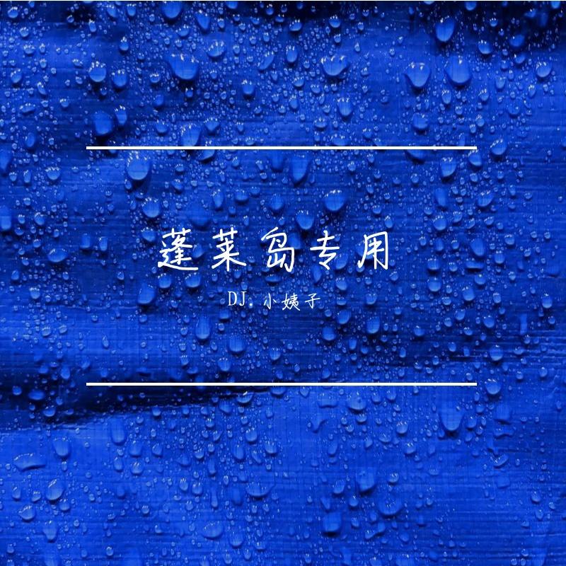 DJ.小姨子-爱情专属权（瑶格格|DJ.小姨子 remix）封面