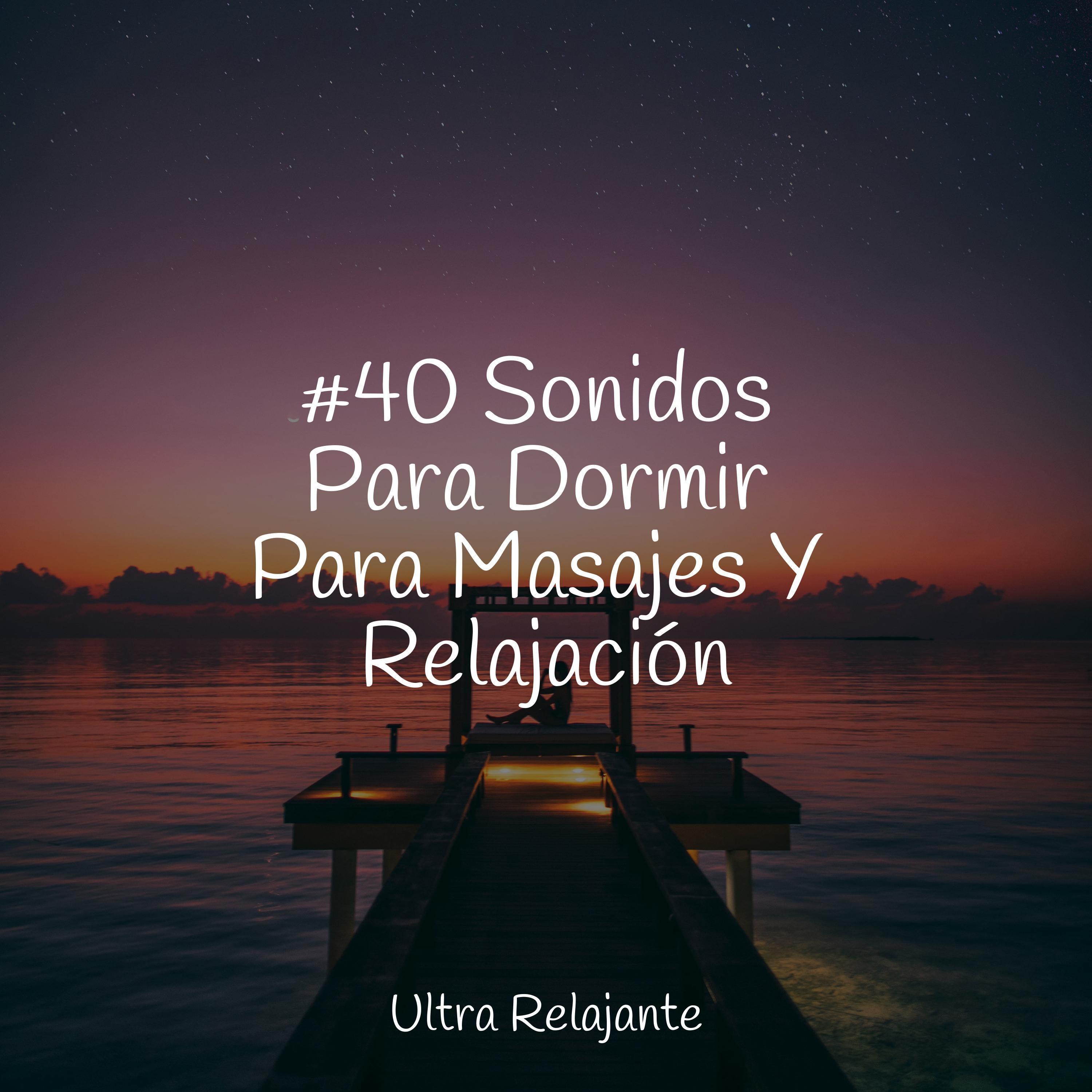 Hamaca En Los Árboles