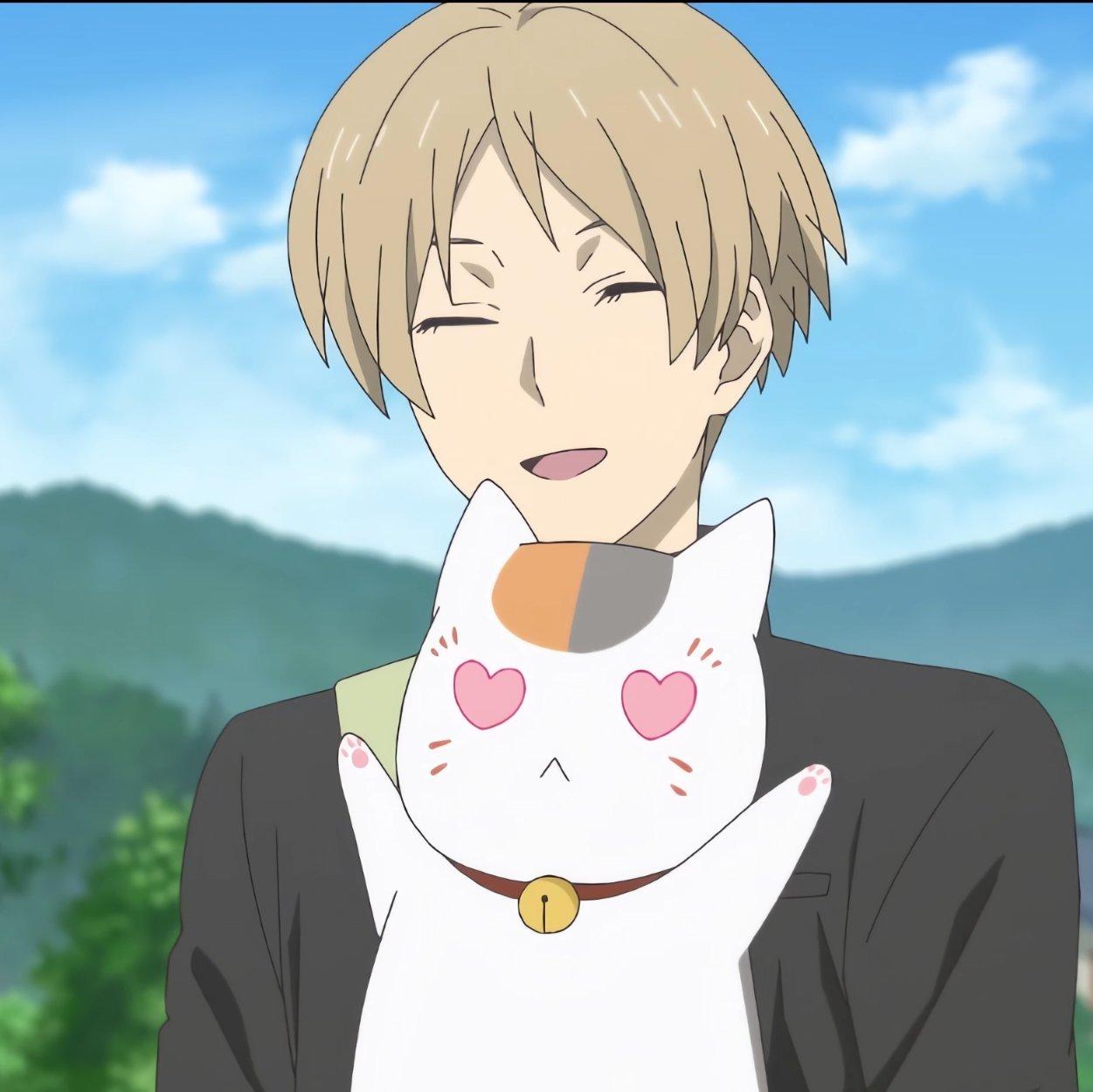 灬想养一只喵灬