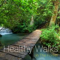 Healthy Walks in The Forest