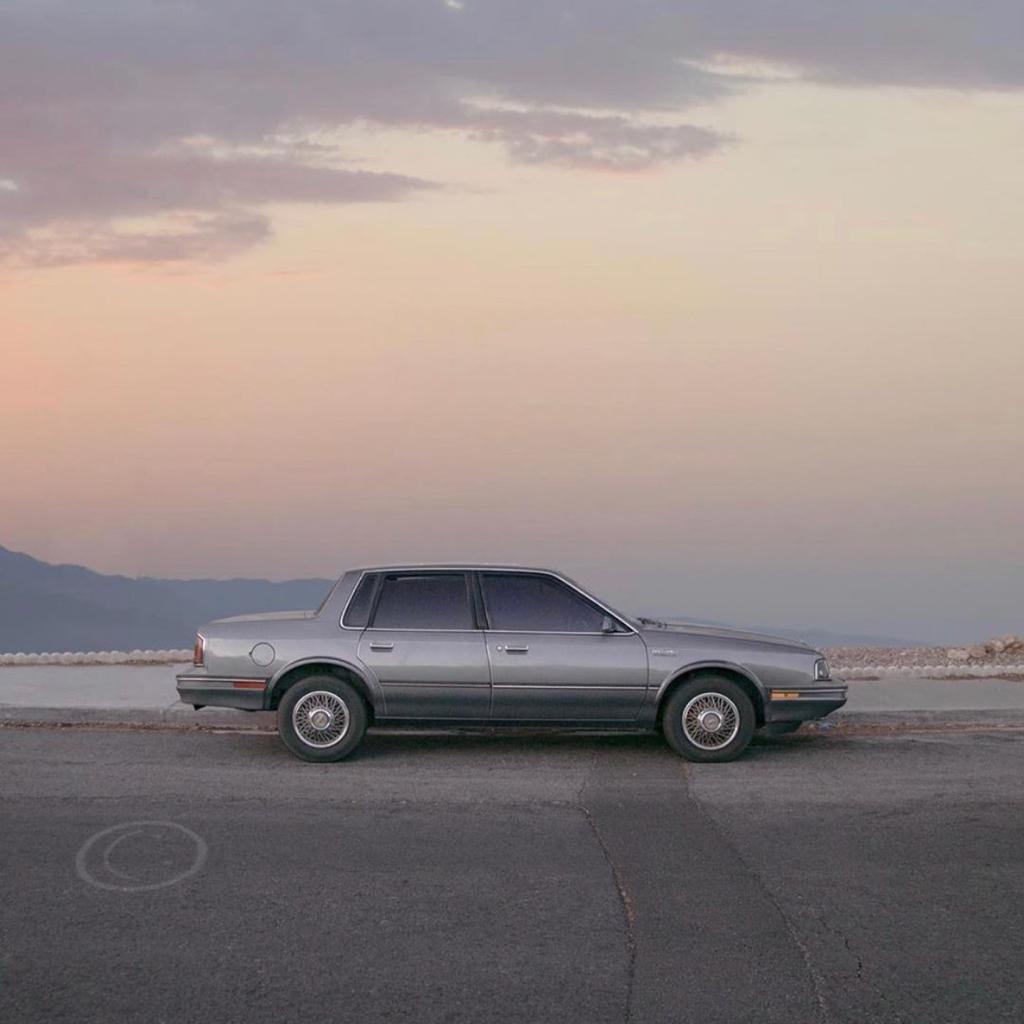 Chill滑板Cannabis sativa L.