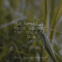 50 Restful Rain Sounds for Yoga or Spa