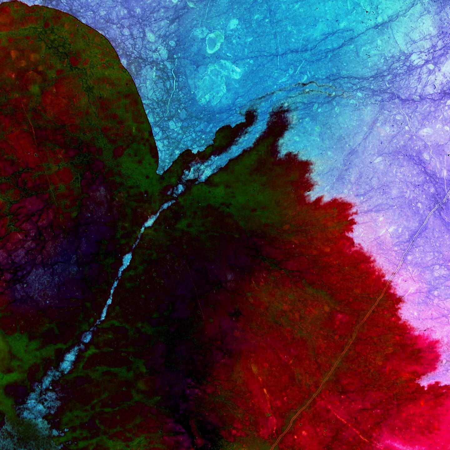 Between the Sea and the Sky