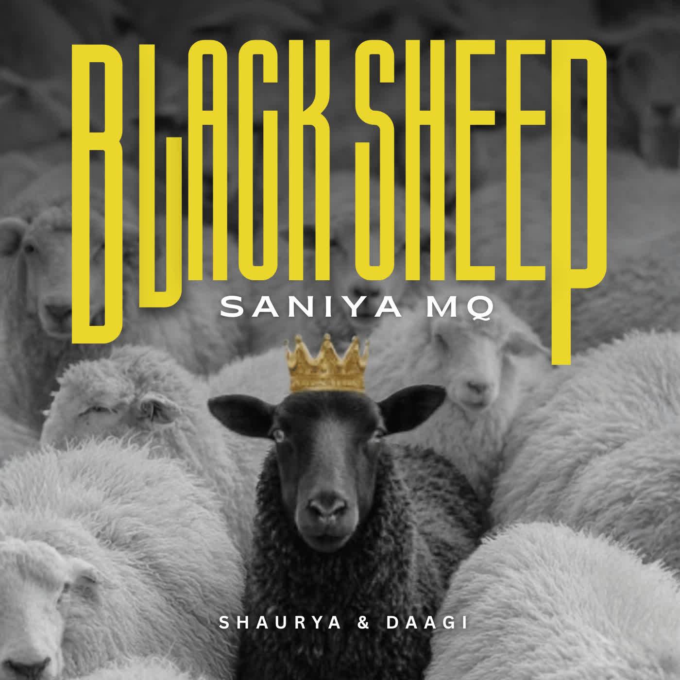 Black sheep