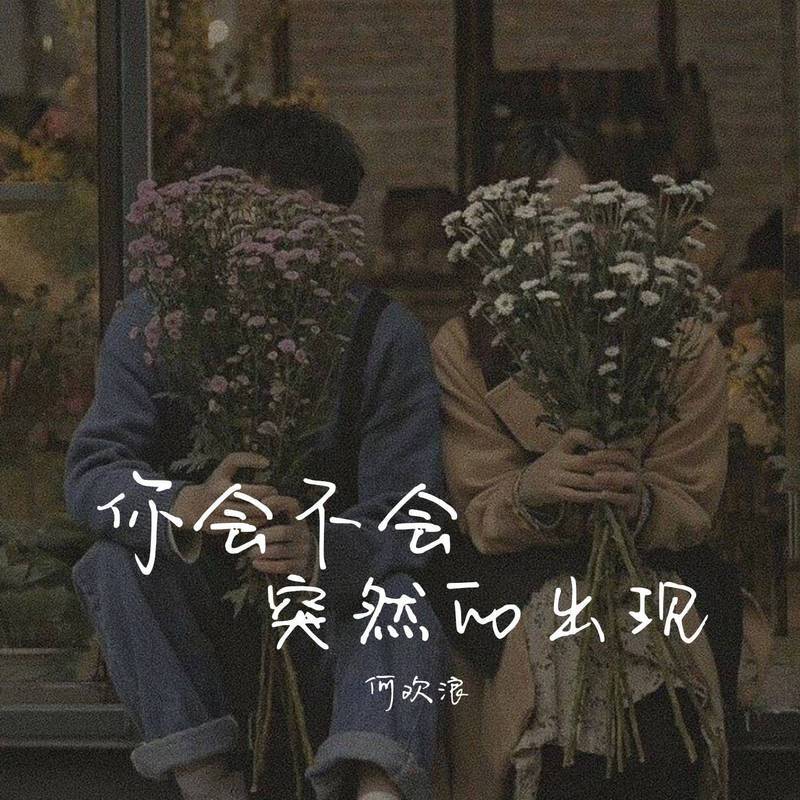 你会不会突然的出现 (伴奏)封面