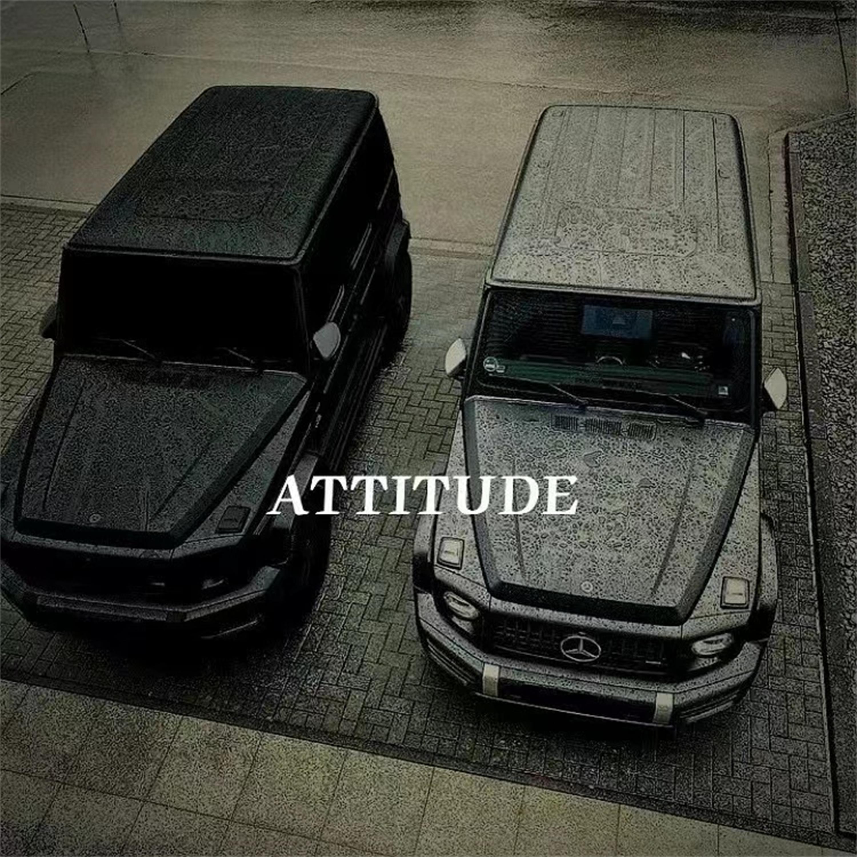 ATTITUDE