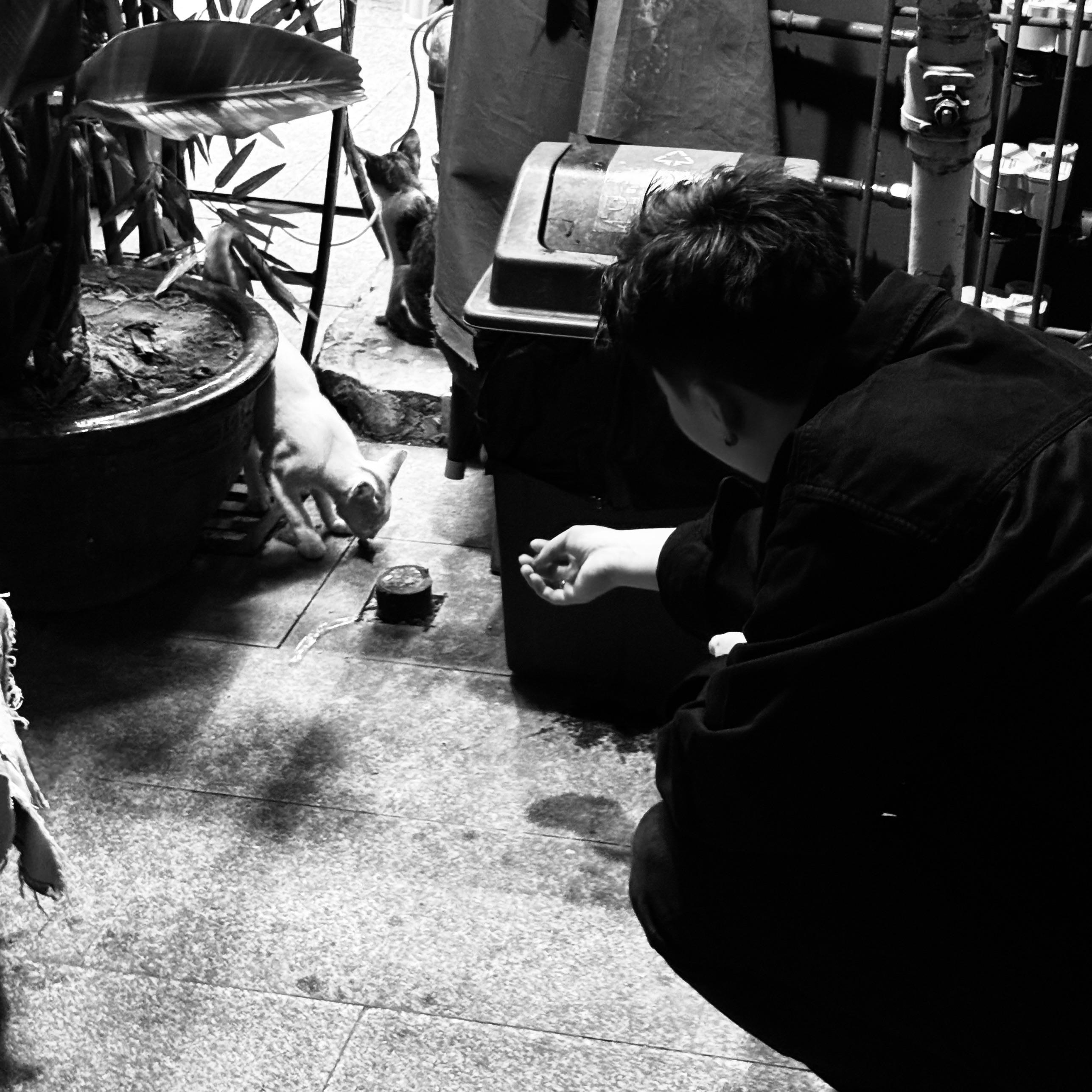 不做你的朋友【翻翻翻唱】