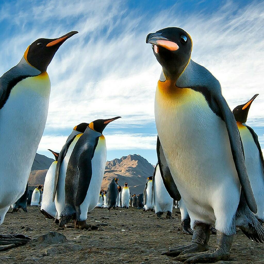 梦到九分醒来时